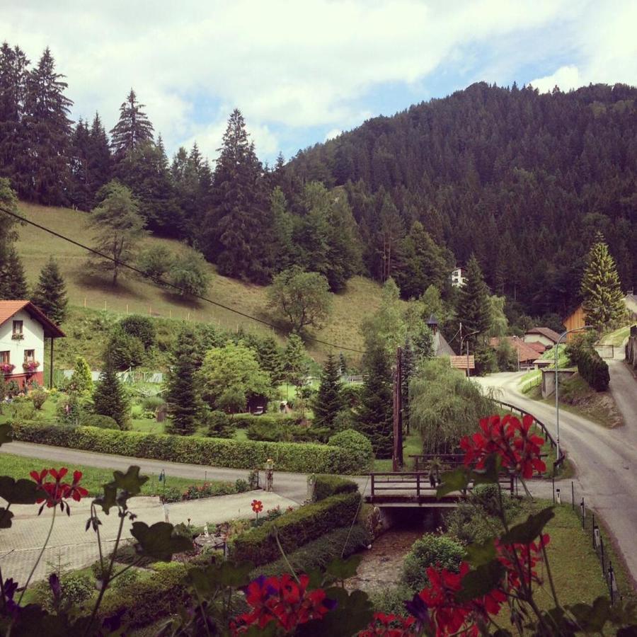 Waldblick Landhaus B&B Schwarzenbach an der Pielach Exteriér fotografie