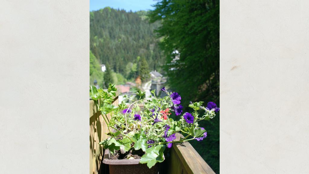 Waldblick Landhaus B&B Schwarzenbach an der Pielach Exteriér fotografie