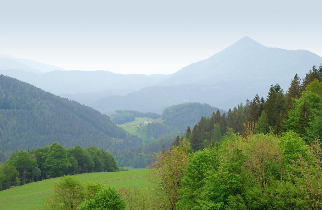 Waldblick Landhaus B&B Schwarzenbach an der Pielach Exteriér fotografie